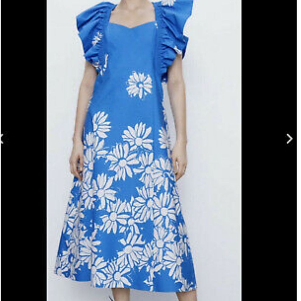 Beautiful Zara Daisy Dress Size M